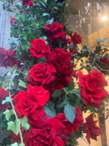 Rose rosse, ma non solo: manuale di sopravvivenza floreale a San Valentino